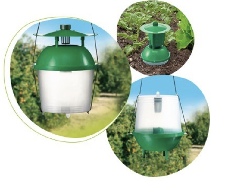 Schermata 2025-06-24 alle 09.25.55 Trappola a feromoni mista Presto bio - immagine 1