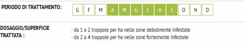 Trappola contro il punteruolo rosso - immagine 2