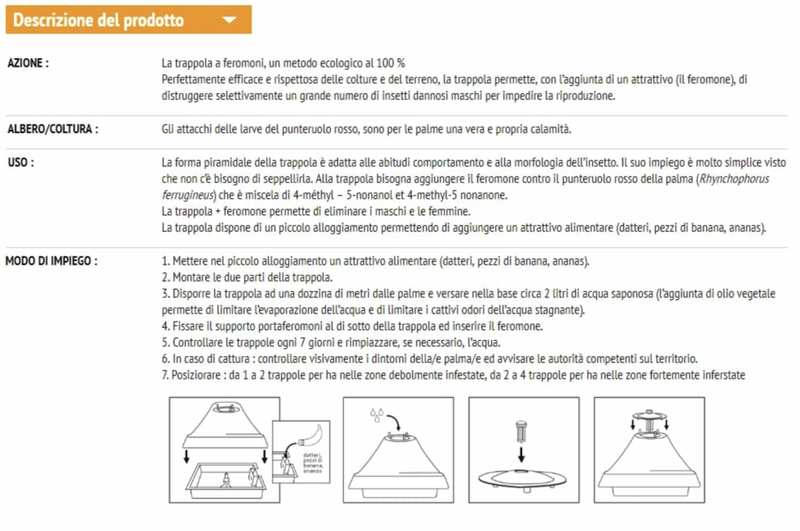 Trappola contro il punteruolo rosso - immagine 3