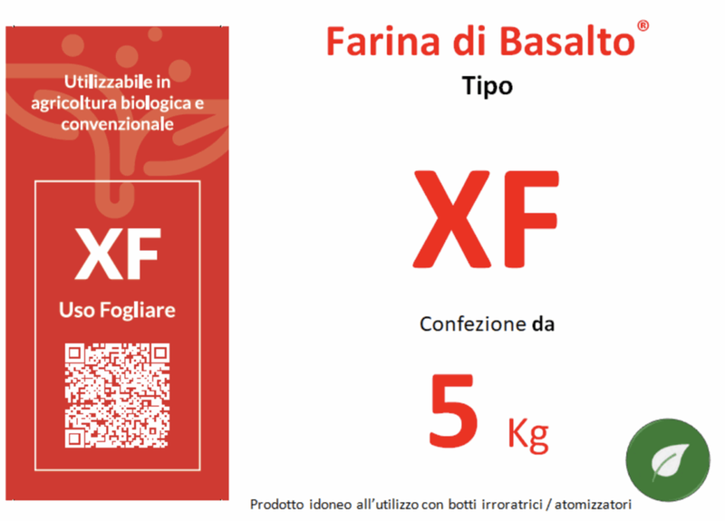FARINA DI BASALTO TIPO XF - immagine 4