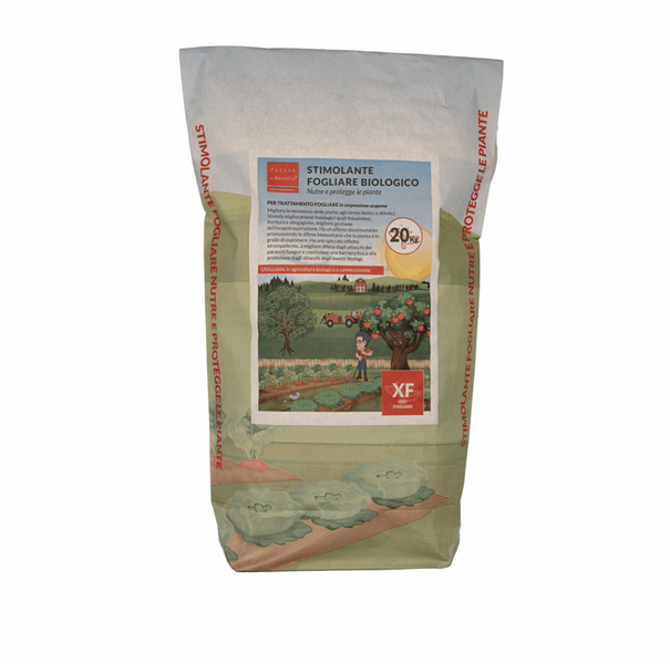 FARINA DI BASALTO TIPO XF - immagine 5