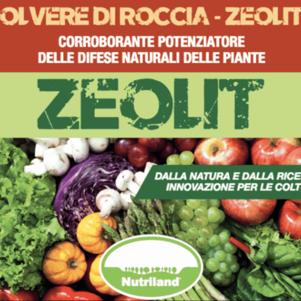 ZEOLIT – Zeolite naturale