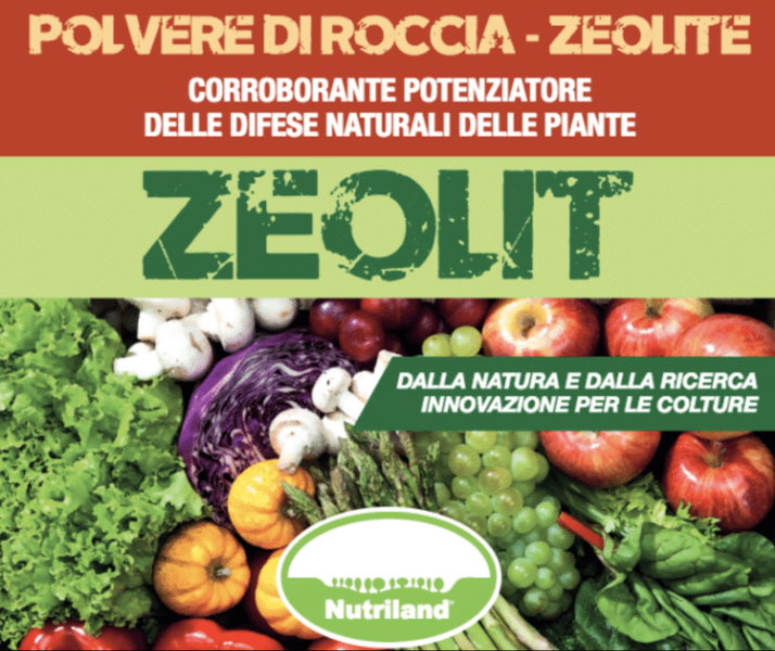 Schermata 2025-07-01 alle 00.43.19 ZEOLIT – Zeolite naturale - immagine 1