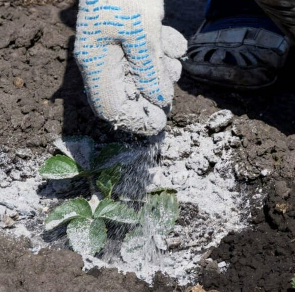 Ottobryo Farina di Basalto, Ammendante inorganico